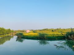 -乌村