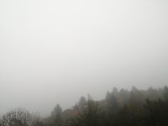 -秦岭风景区