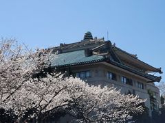 -武汉大学-樱园