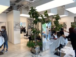-Hair  Gallery