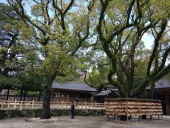 -热田神宫
