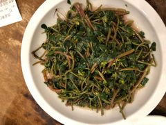 马齿苋-一楼食业·美食人家
