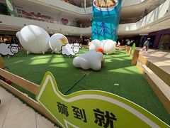-阳光天地