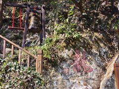 -十八棵（老龙井）御茶园(老龙井店)