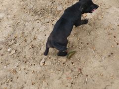 -天下先生态园农庄CS团建露营地(海鸥岛店)