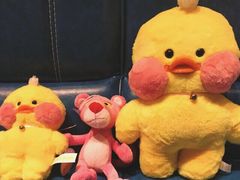 -PAWTOY爪e玩偶店(天兴罗斯福店)