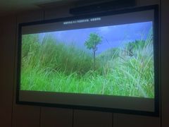 -唐宫足道·SPA·影院会馆(木渎店)