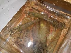 -五星桥原切肥牛火锅(怀德桥店)
