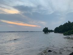 -宝安西湾红树林湿地公园