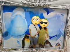 -芜湖新华联大白鲸海洋公园