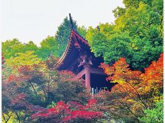 -吴山景区