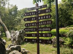 -菊花台公园
