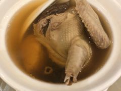 羊肚菌炖鸽子-庄氏祥记家常食府(国瑞建材家居博览中心店)