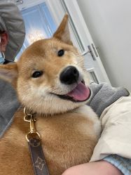 -YESIDO椰岛造型烫发染发