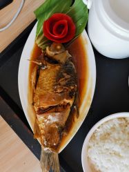 -湖畔阳光月子中心(泰达会馆店)