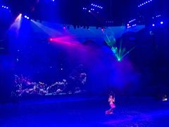 -芜湖新华联大白鲸海洋公园