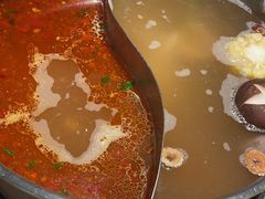 -掂档潮汕牛肉火锅(沈阳万象城店)