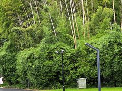 -苏州河梦清园环保主题公园