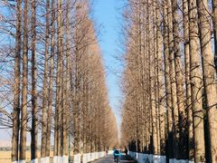 -嘉北郊野公园