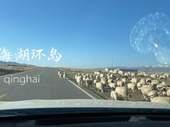 -青海湖国家重点风景名胜区