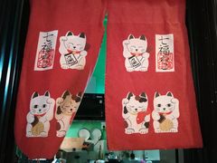 -猫色咖啡·猫咖