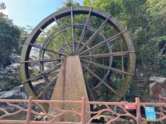 -海南霸王岭国家森林公园