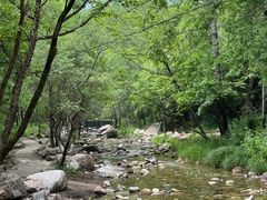 -玉渡山自然风景区