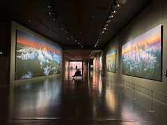 -罗红摄影艺术馆