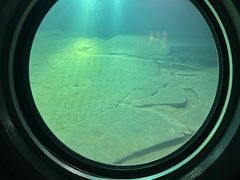 -白鹤梁水下博物馆