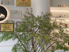 -胜华驾校·小猫学车(银都店)