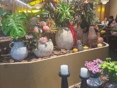 -白石的深夜食堂(万达店)