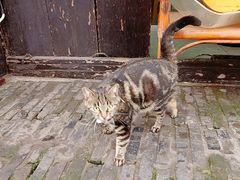 -盂城驿-南门大街