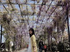 -武汉紫薇都市田园