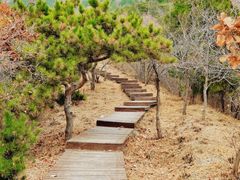 -蟒山国家森林公园-停车场