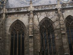 -斯蒂芬主教座堂(Stephansdom)