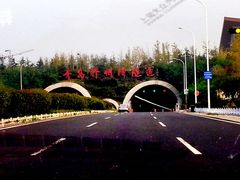 -胶州湾海底隧道
