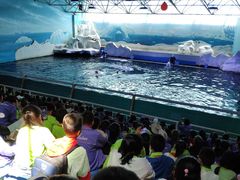 -秦皇岛乐岛海洋王国