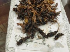 -崮乡圣水坊赵家炒鸡(花都店)