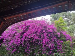 -成都杜甫草堂博物馆