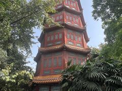 -房湖公园