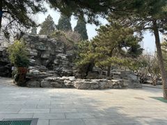 -团结湖公园