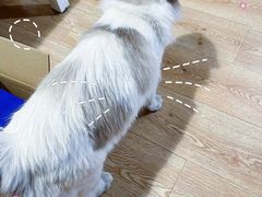 -白兔子密室(长寿路店)