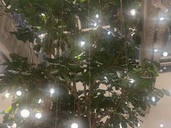 -大树餐厅(红旗街万达店)