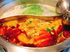 美蛙鱼鸳鸯锅-辣家私厨火锅·龙虾(开发区店)
