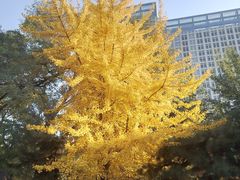 -辽宁大学(崇山校区)