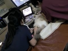 -美联众合动物医院·24h转诊中心