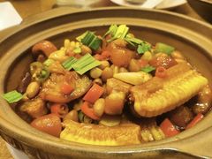 红烧猪尾煲-浔庐餐厅•江西老字号•九江菜(南湖国际店)