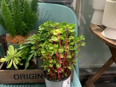 -OneFit健身(汇锦城店)