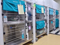 -美联众合动物医院·24h转诊中心