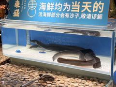 -東盛炭烤自助料理(玄武招商花园城店)